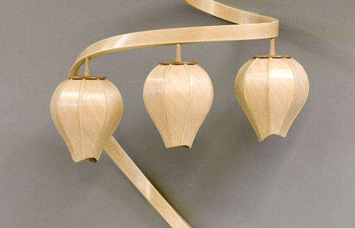 beech blossom lamp featured image